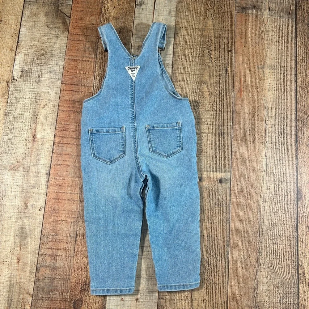 OshKosh B'gosh Blue Denim Floral Strawberry Embroidered Snap Leg Overalls 18M